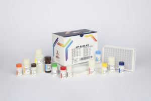 AFP / pishtaz teb / پیشتاز طب / کیت تشخیص طبی 