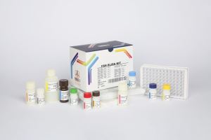 FSH / pishtaz teb / پیشتاز طب / کیت تشخیص طبی 