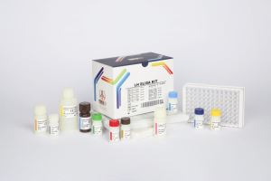 LH / pishtaz teb / پیشتاز طب / کیت تشخیص طبی 