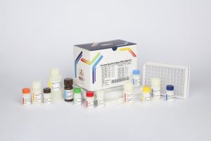 PSA / pishtaz teb / پیشتاز طب / کیت تشخیص طبی 