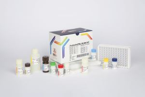 Prolactin / pishtaz teb / پیشتاز طب / کیت تشخیص طبی 